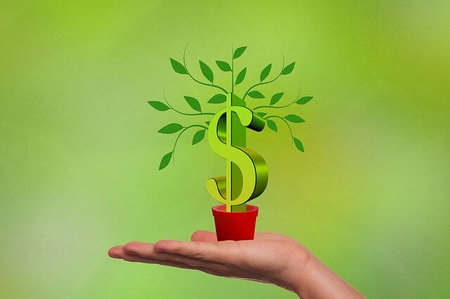 free money tree growing dollars