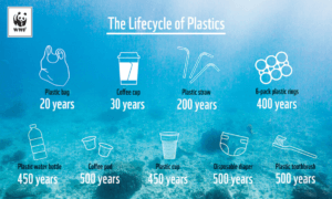 world wildlife fund wwf lifecycle of plastics