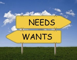financial needs vs wants choices